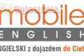 Lektor jzyka angielskiego (Zgierz, Konstantynw, Aleksandrw, Brzeziny, Strykw, Ozorkw)